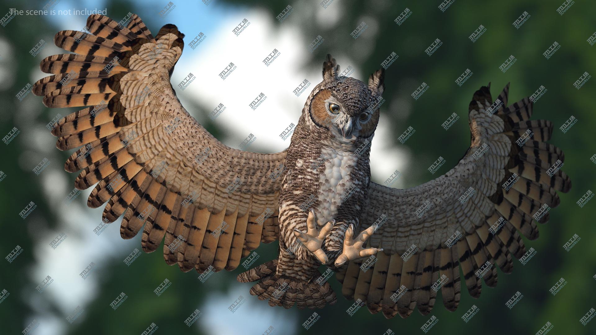 images/goods_img/2021040164/Great Horned Owl Attacking Pose 3D model/5.jpg